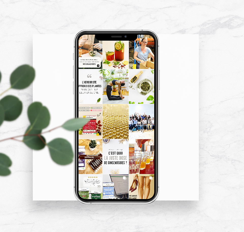 Slide 1 projet fitoform - Yesss Communication