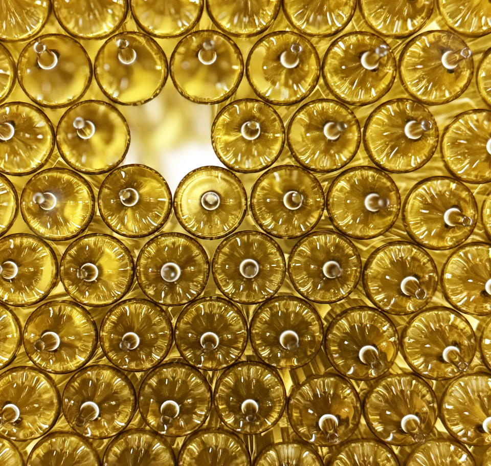 Slide 2 projet fitoform - Yesss Communication